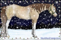 Horse Color:White Spotted Brown Pearl Dun 