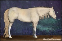 Horse Color:Perlino 