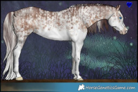 Horse Color:White Spotted Chocolate Palomino Pearl Dun Sabino Splash  and White Spotted Chocolate Brown Dun Splash 