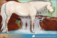 Horse Color:Silver Amber Champagne Dun Sabino Frame 