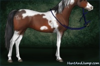 Horse Color:Brown Roan Tobiano Frame