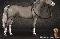 Horse Color:Silver Grullo Splash