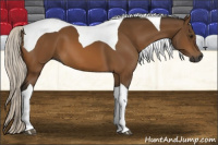 Horse Color:Gray Silver Buckskin Tobiano 