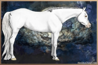 Horse Color:White Spotted Silver Grullo Splash Varnish 