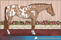 Horse Color:Red Dun Blanket 