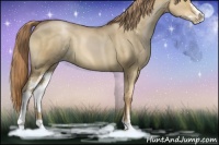 Horse Color:Liver Red Dun Pearl Sabino 