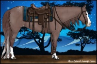 Horse Color:Chocolate Grullo Splash Appaloosa Brindle 