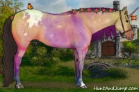 Horse Color:Bay Dun Varnish 