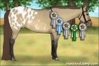 Horse Color:Buckskin Dun Appaloosa Brindle 