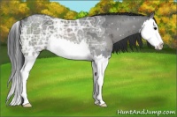 Horse Color:Black Ice Splash 