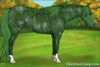 Horse Color:Watercolor Black Ice 
