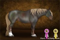 Horse Color:Liver Chestnut Sabino