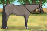 Horse Color:Grullo Brindle 
