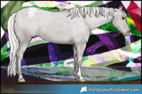 Horse Color:Silver Black Snowcap 