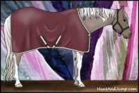 Horse Color:Silver Smoky Blue Roan Tobiano 