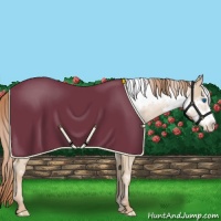 Horse Color:White Spotted Smoky Black Pearl Frame 