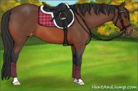 Horse Color:Bay Roan Appaloosa