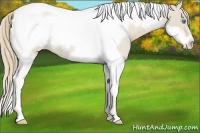 Horse Color:Smoky Creme Roan Tobiano Frame Varnish