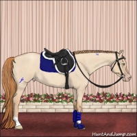 Horse Color:Gold Champagne Roan Dun 