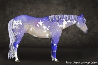 Horse Color:Watercolor White Spotted Silver Brown Sabino 