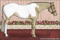Horse Color:Chocolate Palomino Dun Mushroom Snowcap Brindle 