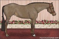 Horse Color:Liver Red Dun Appaloosa Brindle 