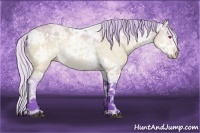Horse Color:Watercolor White Spotted Silver Brown Chinchilla Ice Rabicano 