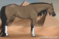 Horse Color:Liver Red Dun Brindle 