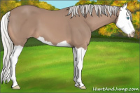 Horse Color:Gray Silver Perlino Splash 