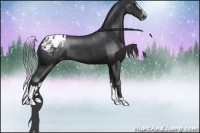 Horse Color:Black Sabino Varnish Rabicano 