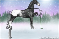 Horse Color:Black Sabino Appaloosa Rabicano