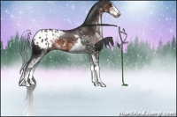 Horse Color:Brown Sabino Appaloosa Rabicano 