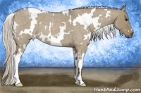 Horse Color:White Spotted Silver Smoky Grullo Roan 