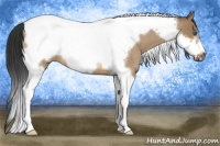 Horse Color:Bay Roan Dun Tobiano Frame 