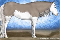 Horse Color:Silver Grullo Roan Splash