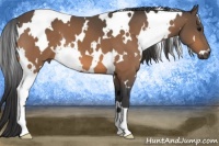 Horse Color:White Spotted Buckskin