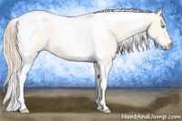 Horse Color:Smoky Creme Roan Tobiano 