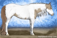 Horse Color:Classic Cream Champagne Tobiano Frame Blanket 