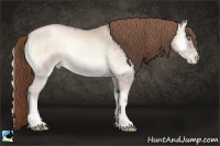 Horse Color:Smoky Blue Onyx Ice Pearl 