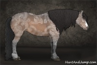 Horse Color:Brown Ice 