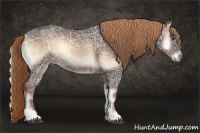 Horse Color:Liver Red Onyx Ice