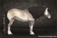 Horse Color:Liver Red Onyx Ice 