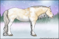 Horse Color:Silver Sable Champagne Ice Dun Splash Tobiano Frame Rabicano 