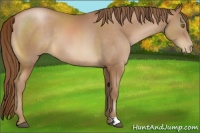 Horse Color:Brown Pearl 