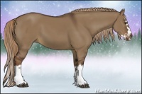 Horse Color:Liver Red Dun Sabino Splash 
