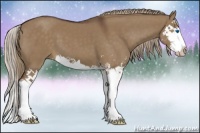 Horse Color:Liver Red Dun Sabino Splash 