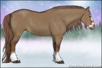 Horse Color:Liver Red Dun Sabino Splash Rabicano