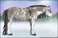 Horse Color:Grullo Sabino Rabicano 