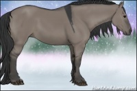 Horse Color:Grullo Sabino Rabicano 
