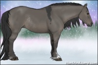 Horse Color:Grullo Sabino Rabicano 